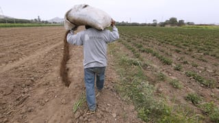 Midagri estima que llegada de fertilizantes será para la segunda semana de agosto 