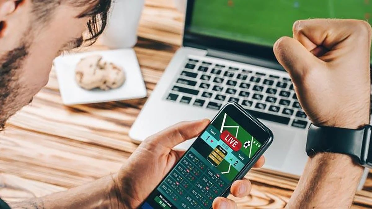 El nuevo espacio de Palms Bet busca acercar la plataforma digital a sus usuarios.