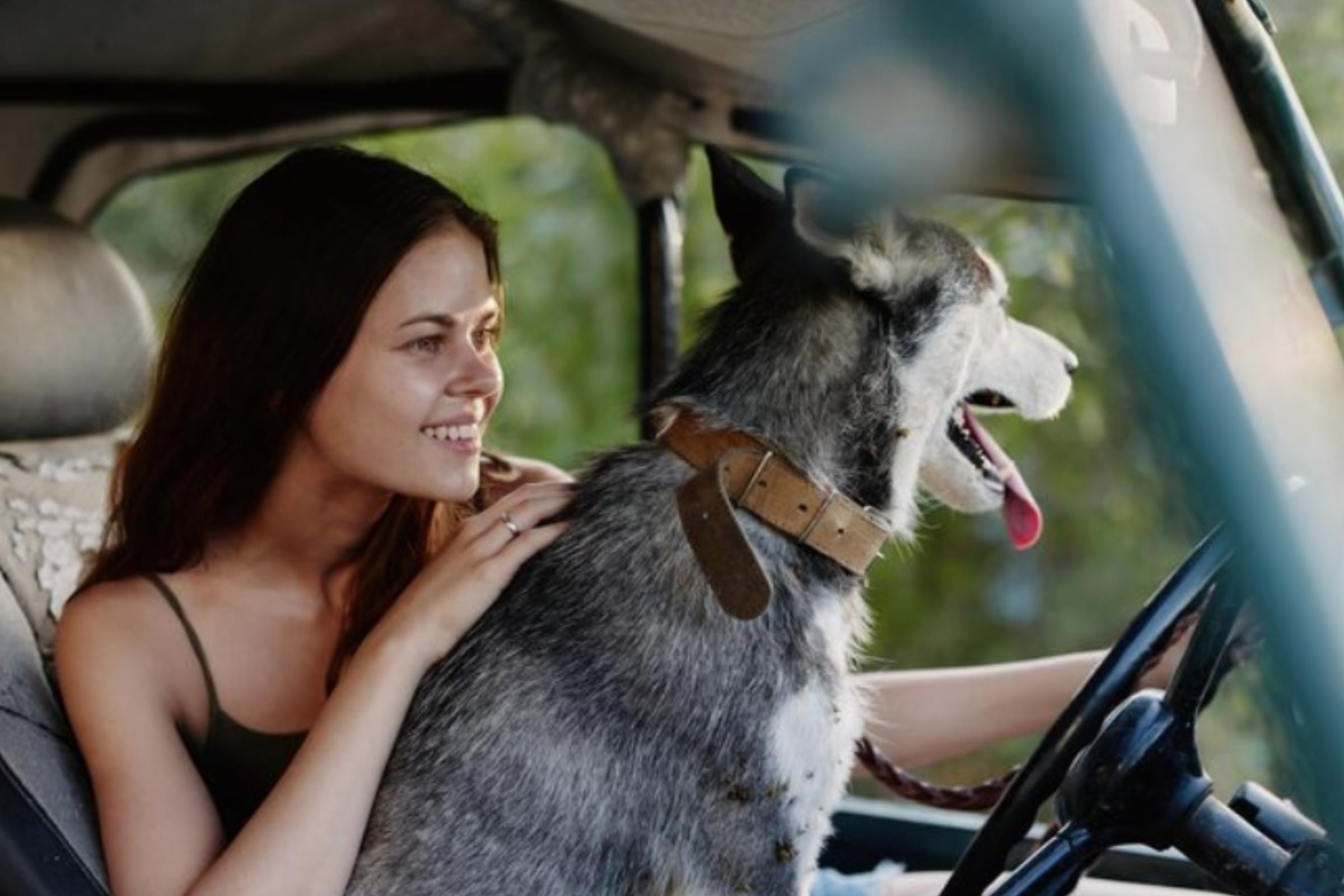 Habitualmente, cientos de personas prefieren conducir en compañía de su canino. (Crédito: Magnific / Imagen referencial)