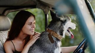 ¿Tu perro te acompaña cuando estás conduciendo en Florida? Estas situaciones pueden derivarte en multas