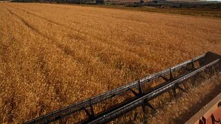EE.UU. dice que reportes de que Rusia roba trigo de Ucrania son creíbles