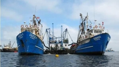 “Efecto precio” de la harina y el aceite de pescado impulsa a Exalmar: ¿en qué invirtió?