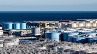 Japón: nivel de radiación del agua junto a Fukushima permanece sin cambios