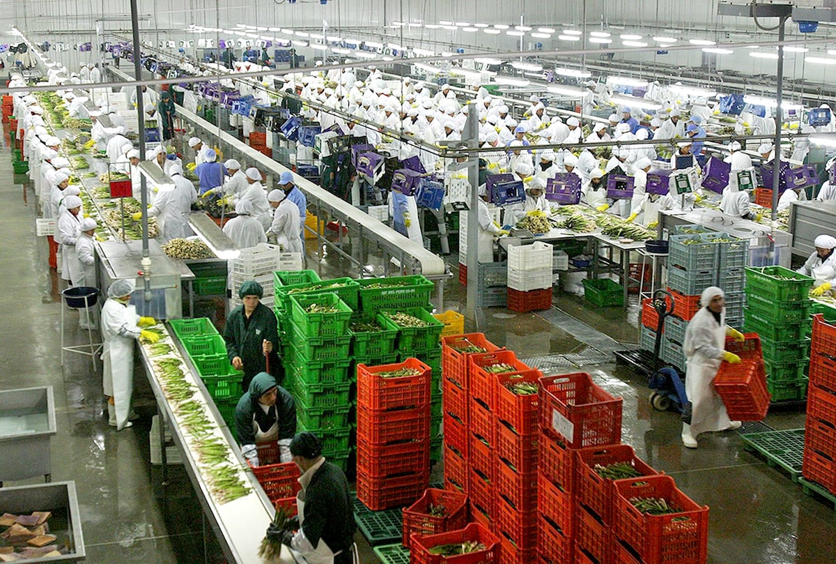Los envíos agroexportadores representaron el 16.1% del total de las exportaciones peruanas a noviembre de 2025. (Foto: Comex).