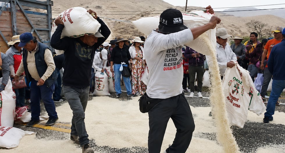 Arroz en crisis: ¿Cómo proteger a los agricultores peruanos?