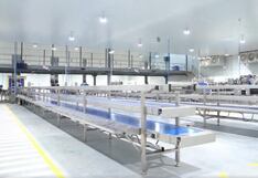 Agrícola Don Ricardo inaugura planta de procesamiento de arándanos