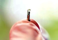 EEUU restringe más la exportación de microchips de IA y provoca reacción de Pekín e industriales