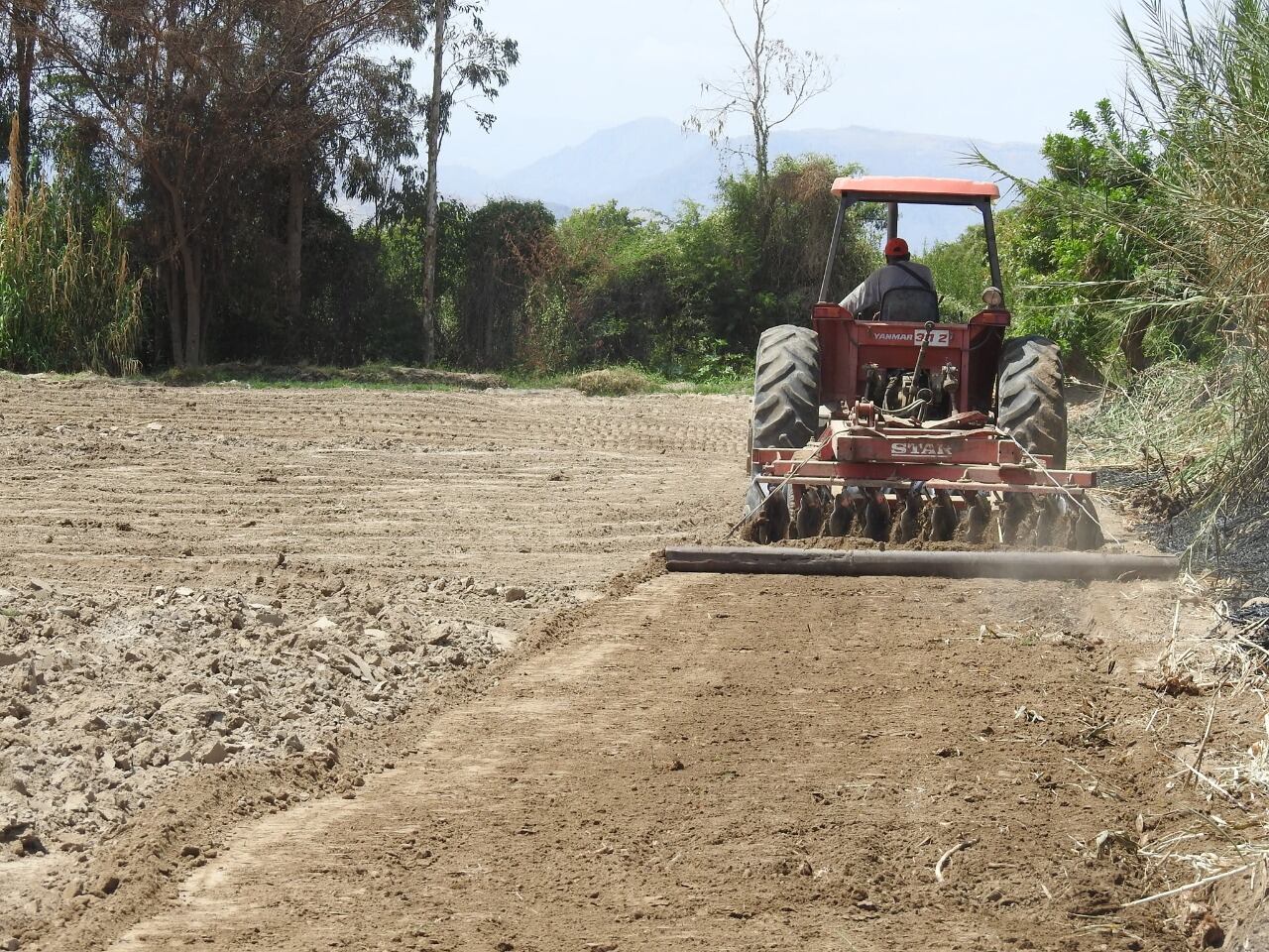 Augusto Baertl indicó que "hay que fortalecer las sinergias entre agro y minería en favor del desarrollo del país”