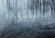 Emergencia en EE.UU.: incendio masivo provoca evacuación de 3 mil personas