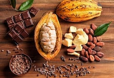 Altos precios del cacao se mantendrían en el 2026: Qué prevén los negocios