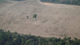 Brasil exige que EE.UU. pague por adelantado un acuerdo para salvar la selva amazónica
