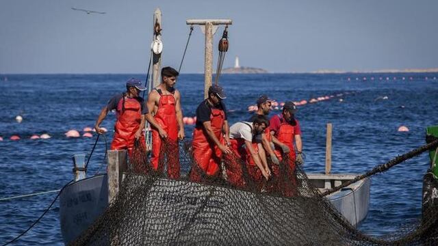 ¿Cómo cambiará la situación de los pescadores si no hay acuerdo de Brexit? 