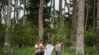 Invertirán de US$ 50 millones para reducir la deforestación en 11 regiones de la Amazonía 