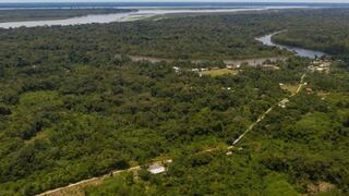 La Amazonía, un potencial biomercado que Brasil no ha sabido aprovechar
