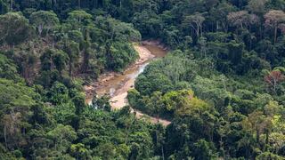 Minam otorgará incentivos económicos a comunidades amazónicas para conservar bosques