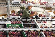 Sector agroindustria creó más del 20% de empleos formales este 2023