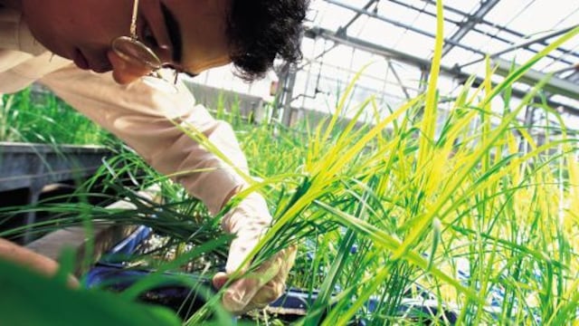 Point Andina apuesta por los productos biológicos para crecer a doble dígito