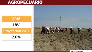 ¿Cuánto dejarán de crecer los sectores productivos de Perú en 2017?