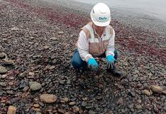OEFA inspecciona playa de La Punta para verificar presencia de hidrocarburos