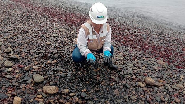 Acciones de verificación en la playa Cantolao.