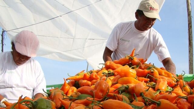 Producción agropecuaria de Perú crece 11.1% en abril debido a más alimentos