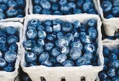 Westfalia Fruit Perú se suma al boom de los arándanos: los planes de exportación