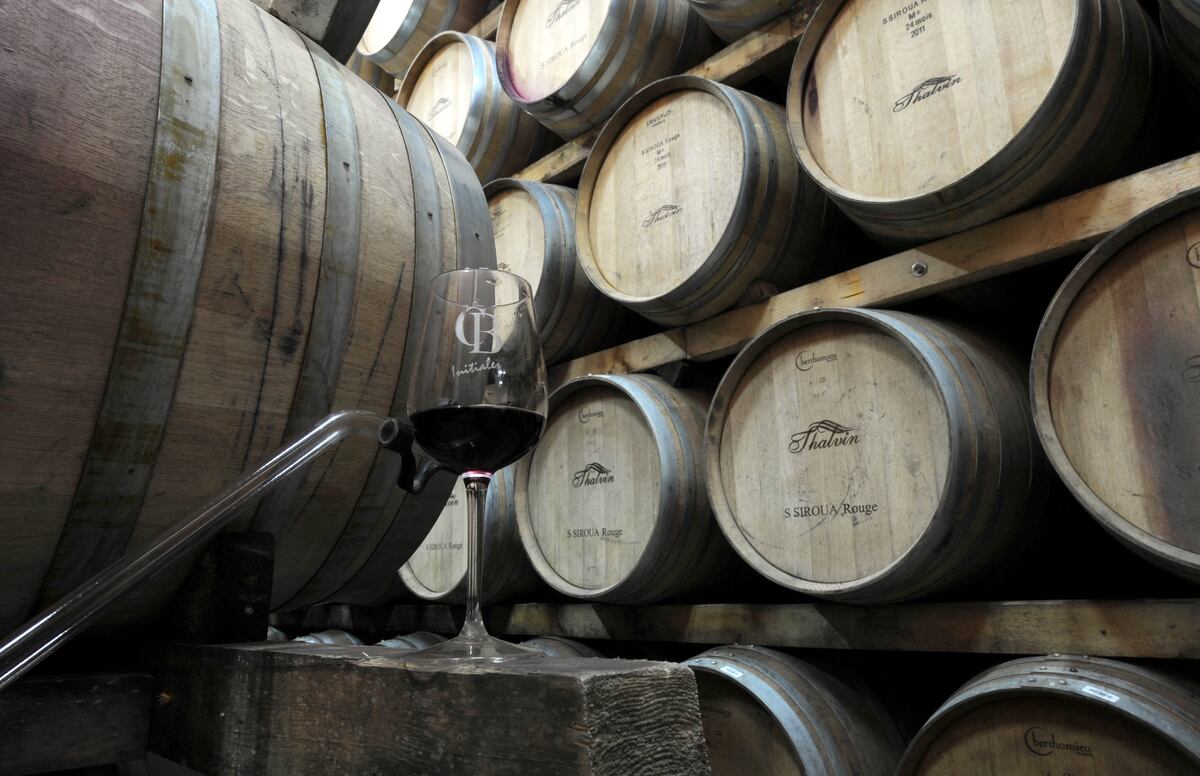 "El vino fue el vehículo de su audacia, sellando un idilio que desafió al mismísimo Senado Romano y que hoy sobrevive en el aroma dulce que evocan aquel Mediterráneo eterno." ( Foto de FADEL SENNA / AFP)