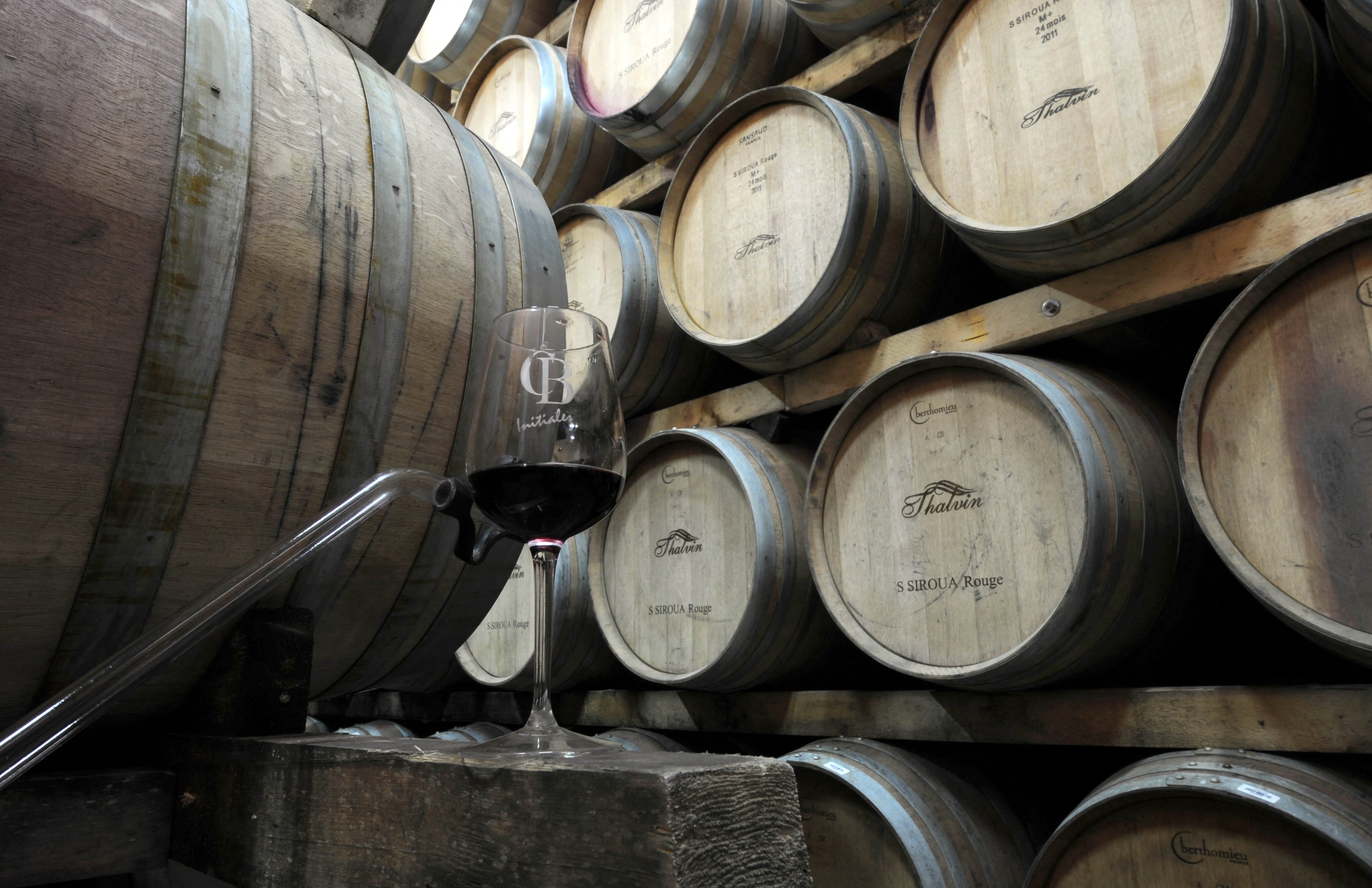 "El vino fue el vehículo de su audacia, sellando un idilio que desafió al mismísimo Senado Romano y que hoy sobrevive en el aroma dulce que evocan aquel Mediterráneo eterno." ( Foto de FADEL SENNA / AFP)