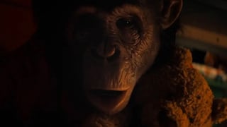 “Primate”, la película de terror que tiene como protagonista a un chimpancé agresivo
