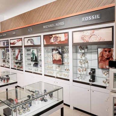 Grupo Fossil.