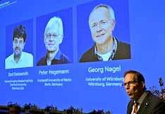 Nobel de Medicina para un estadounidense y dos alemanes, ¿qué descubrieron?