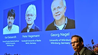 Nobel de Medicina para un estadounidense y dos alemanes, ¿qué descubrieron?