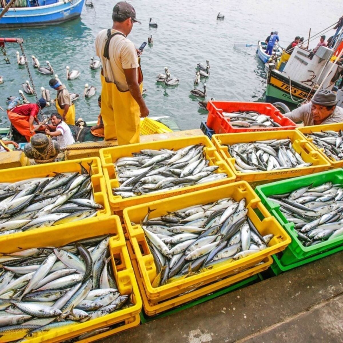 Quispe aseguró que este 2025 ningún barco extranjero ha ingresado a puertos peruanos. (Imagen: Produce)