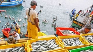 Perú apunta a Asia y Europa para exportar más de su mar: 3 mercados en el radar