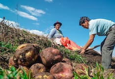 Midagri aprobó el Marco Orientador de Cultivos para la Campaña Agrícola 2026 -2027