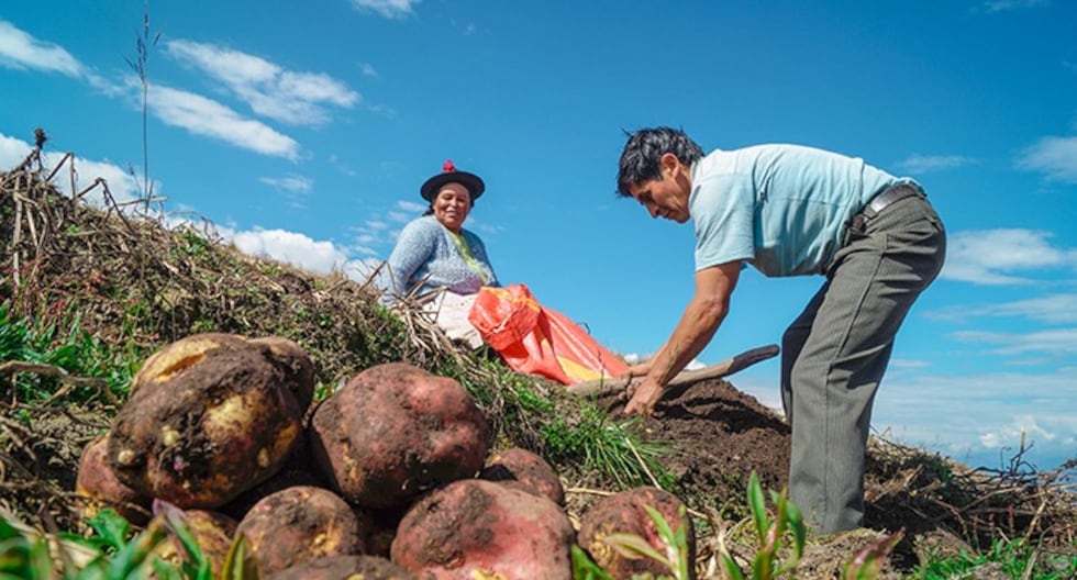 El Niño y el futuro de la agricultura peruviana
