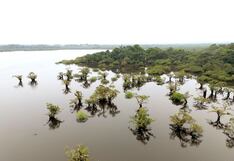 Goldman Sachs y Bank of America preparan canje de deuda para Ecuador