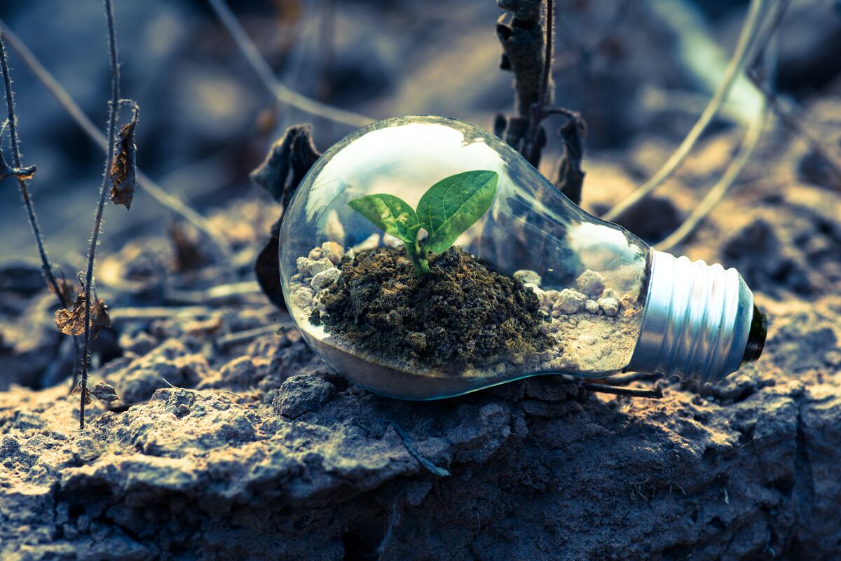 ¿Qué pasaría si, en vez de hablar del problema del cambio climático, habláramos de la exposición o vulnerabilidad ante el cambio climático? (Foto: Pexels)