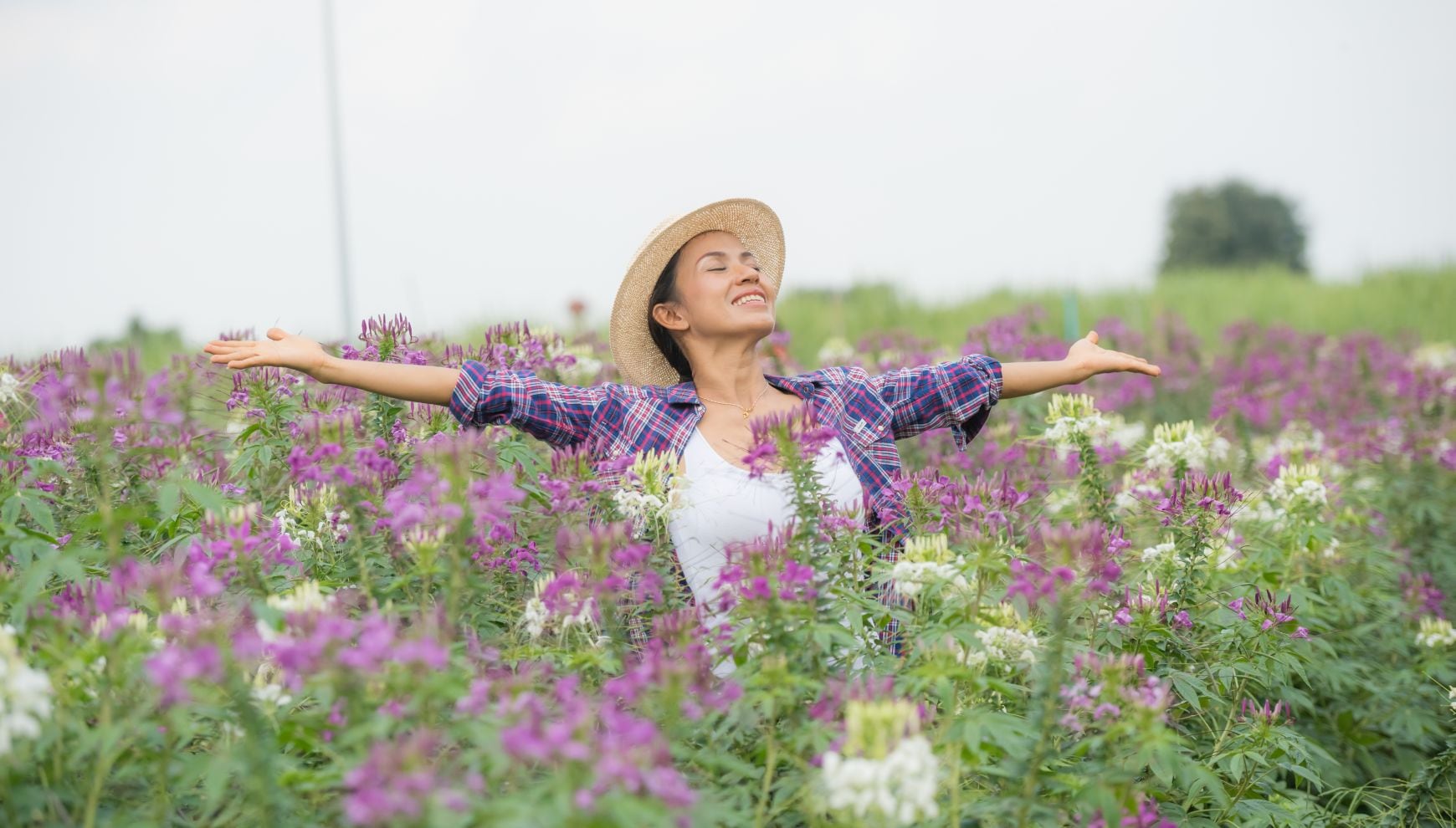 Aunque no habrá un espectáculo visible en el cielo, el equinoccio dará paso a semanas con más horas de luz, floración de plantas y más (Foto: Freepik)
