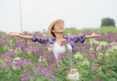 Primavera 2026 en EE.UU.: este es el día y la hora exactos del equinoccio