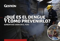 ¿Qué es el dengue, cómo se transmite y cuáles son los síntomas de la enfermedad?
