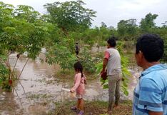 The Economist: Perú se debate entre proteger a tribus aisladas o indemnizar a madereras