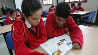 Editoriales pretenden vender textos escolares con errores por S/. 60 millones para el 2014