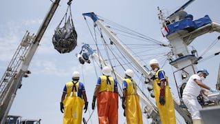 ¿Derecho de pesca debe pagarse por el valor de la anchoveta y no por la harina?