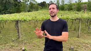 Agricultores de Brasil apoyan a Flávio Bolsonaro en presidenciales