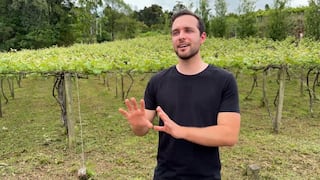Agricultores de Brasil apoyan a Flávio Bolsonaro en presidenciales