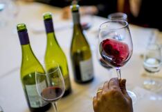 Ley Marco del Vino: las nuevas políticas para la investigación de la vid