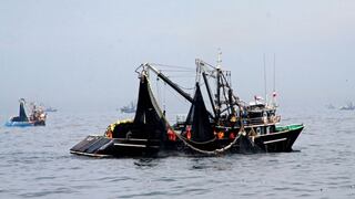 Produce: Sector pesquero creció 151% en abril impulsado por la pesca de anchoveta