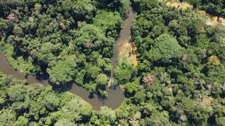 Presidentes de Perú y Colombia acuerdan priorizar la protección de la Amazonía
