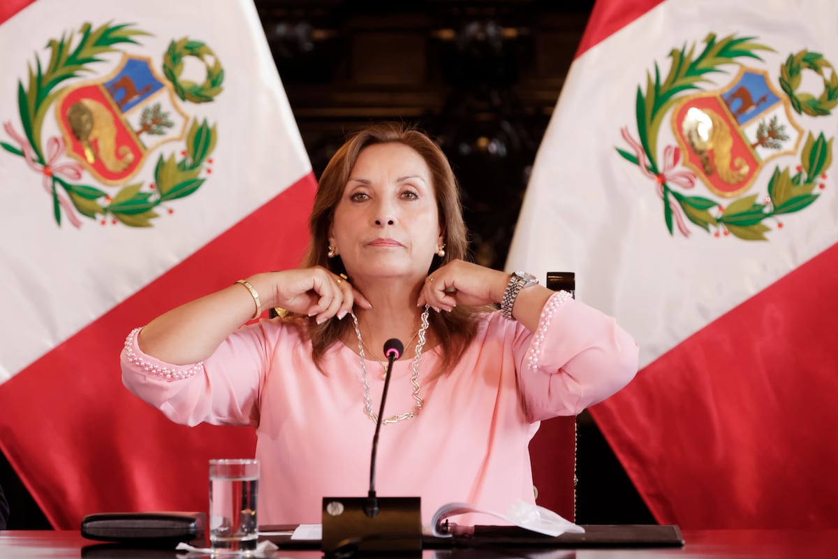 Presidenta Dina Boluarte. (Foto: Presidencia)